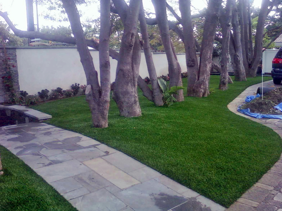 Grass Carpet Luttrell Tennessee Roof Top Front Yard Design,Floor Tiles Design Pictures In India