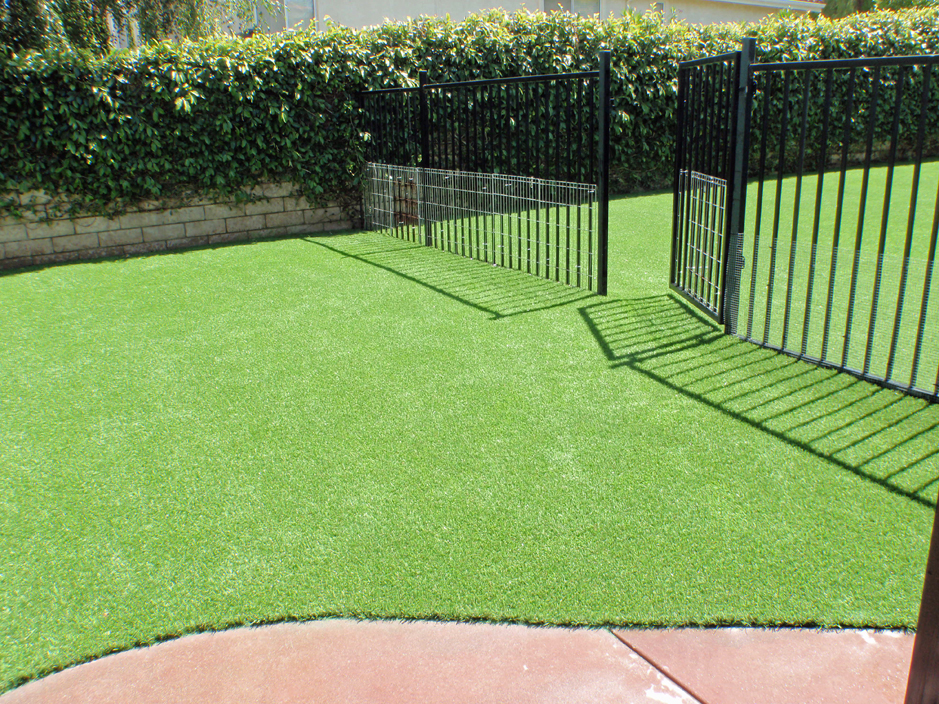 Installing Artificial Grass Dunlap Tennessee Roof Top Landscaping Ideas For Front Yard