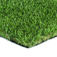 Olive-92 Stemgrass Olive-92 Stemgrass