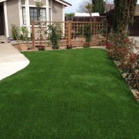 Artificial Grass Carpet Petros, Tennessee Backyard Playground, Small Front Yard Landscaping