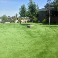 Artificial Grass Saint Joseph, Tennessee Home And Garden, Recreational Areas