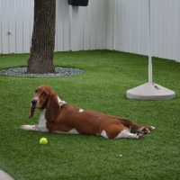 Artificial Turf Installation Wildwood, Tennessee Dog Running, Dogs Park