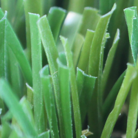 C Blade-92 C Blade-92