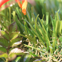 C Blade-92 C Blade-92