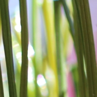 Double W-85 Double W-85