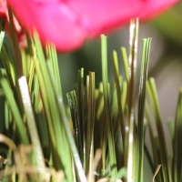 Double W-85 Double W-85