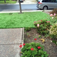 Fake Grass Carpet Smyrna, Tennessee Hotel For Dogs, Front Yard Landscape Ideas