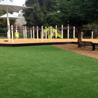 Green Lawn Greenback, Tennessee Playground Turf, Backyard Ideas
