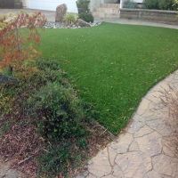 Outdoor Carpet Springfield, Tennessee Garden Ideas, Backyard Landscaping