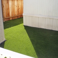 Synthetic Turf Cross Plains, Tennessee Cat Playground, Backyard Landscape Ideas