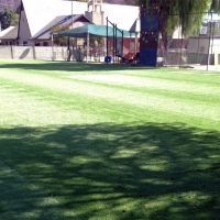 Turf Grass Trezevant, Tennessee Sports Athority, Recreational Areas