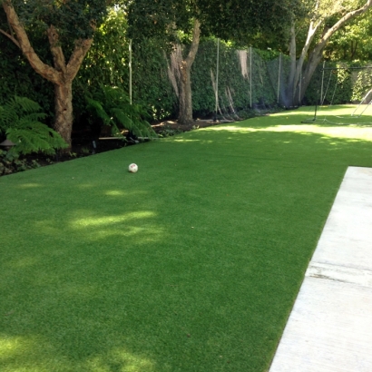 Artificial Grass Carpet Central, Tennessee Lawns