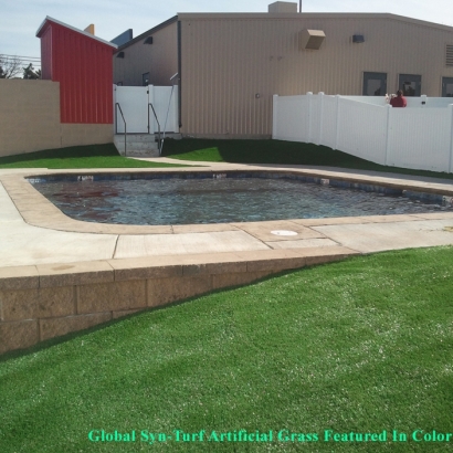 Artificial Grass Carpet Mason, Tennessee Design Ideas, Above Ground Swimming Pool