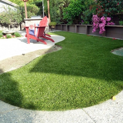 Artificial Grass Elgin, Tennessee Dog Run, Backyard Design
