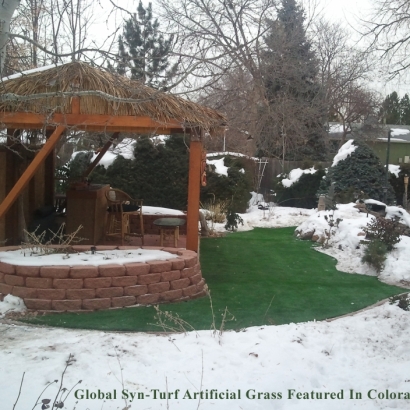 Artificial Grass Garland, Tennessee Home And Garden, Backyard Landscaping