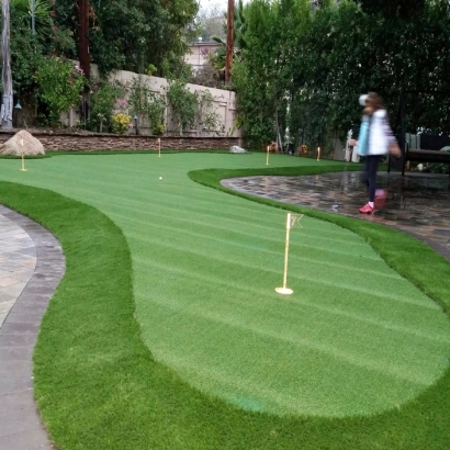 Artificial Turf Columbia, Tennessee How To Build A Putting Green, Backyard Garden Ideas