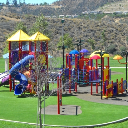 Artificial Turf Cost Alexandria, Tennessee Indoor Playground, Parks