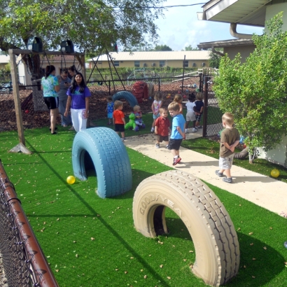 Artificial Turf Dodson Branch, Tennessee Indoor Playground, Commercial Landscape