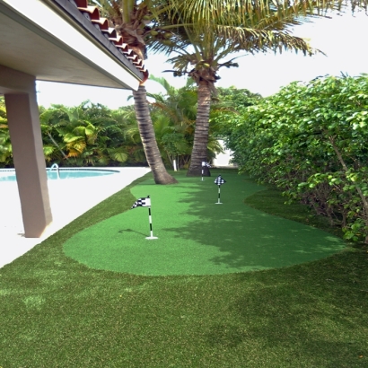 Artificial Turf Orme, Tennessee Putting Greens, Swimming Pools