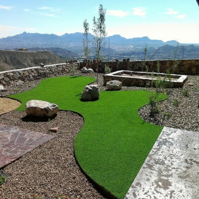Fake Grass Apison, Tennessee Dog Park, Beautiful Backyards