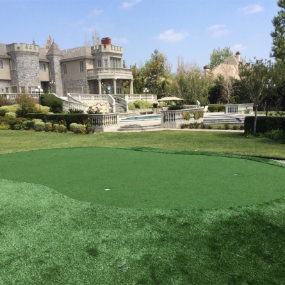 Fake Grass Carpet Central, Tennessee Landscape Ideas, Small Front Yard Landscaping