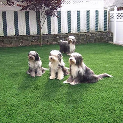 Fake Grass Carpet Garland, Tennessee Lawn And Garden, Backyard Landscape Ideas