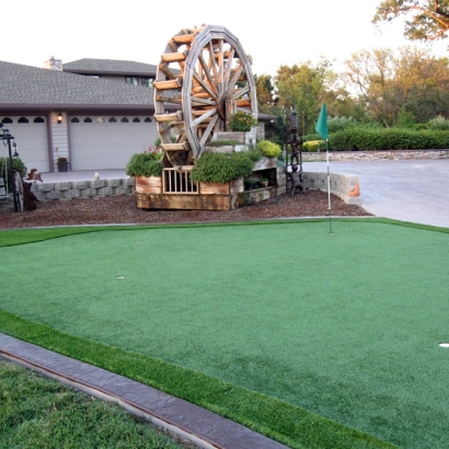 Fake Grass Copperhill, Tennessee Putting Green Carpet, Front Yard Landscaping Ideas