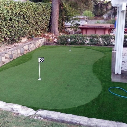 Grass Carpet Oakland, Tennessee Office Putting Green, Backyard Ideas