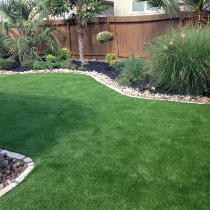 Grass Turf Crab Orchard, Tennessee Indoor Dog Park, Small Backyard Ideas
