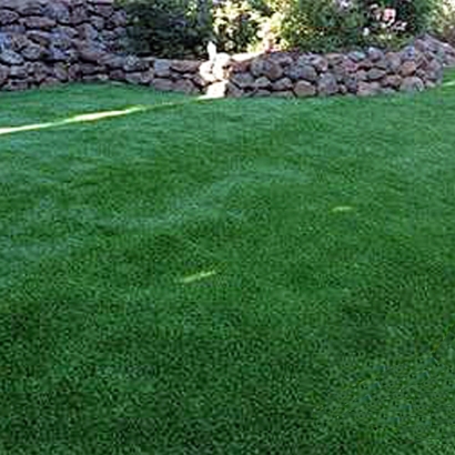 How To Install Artificial Grass Charleston, Tennessee Hotel For Dogs, Backyard Designs