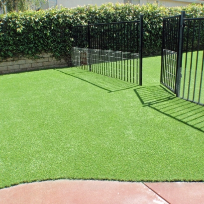 Installing Artificial Grass Dunlap, Tennessee Roof Top, Landscaping Ideas For Front Yard