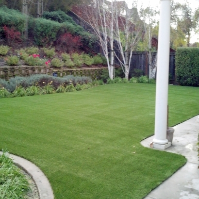 Lawn Services Lookout Mountain, Tennessee Cat Grass, Backyard