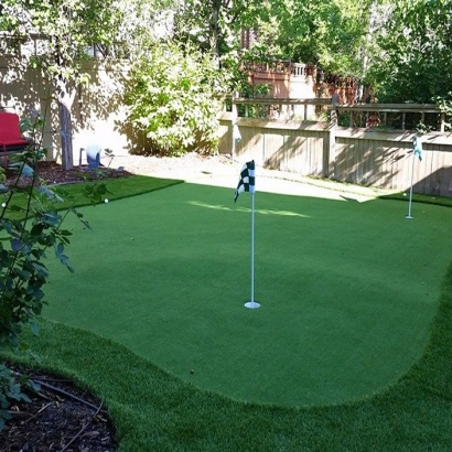 Plastic Grass Cookeville, Tennessee Office Putting Green, Backyard Garden Ideas