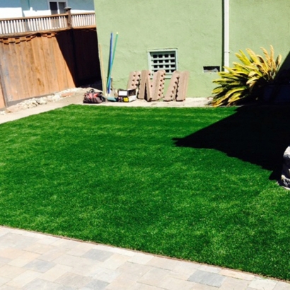 Plastic Grass Philadelphia, Tennessee Dogs, Backyard Ideas