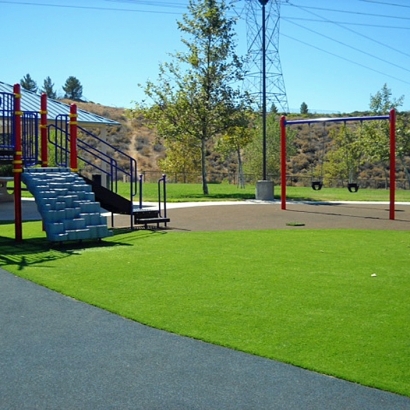 Synthetic Grass Burns, Tennessee Landscape Photos, Recreational Areas