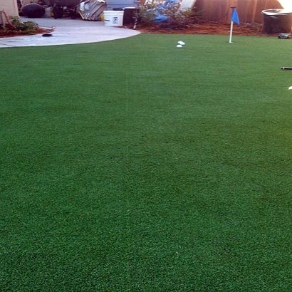 Synthetic Grass Cost Bruceton, Tennessee Putting Green Turf, Backyard Landscape Ideas
