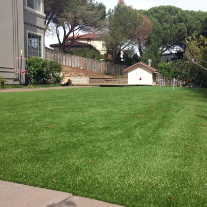 Synthetic Grass Cost Central, Tennessee City Landscape, Backyards
