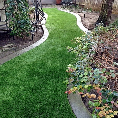 Synthetic Grass Cost Harrison, Tennessee Landscape Photos, Backyard Ideas