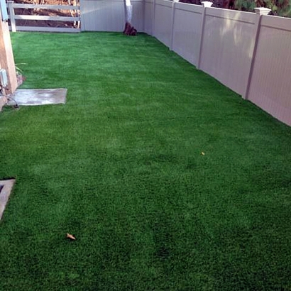 Synthetic Grass Cost Mount Juliet, Tennessee Dog Pound, Small Backyard Ideas