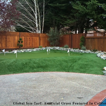 Synthetic Turf Brighton, Tennessee Roof Top, Backyard Landscaping