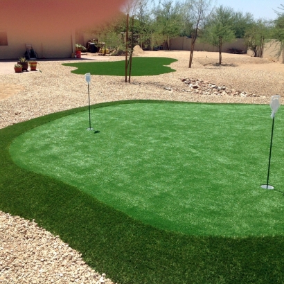 Synthetic Turf Supplier Bristol, Tennessee Home Putting Green, Backyard Landscaping Ideas