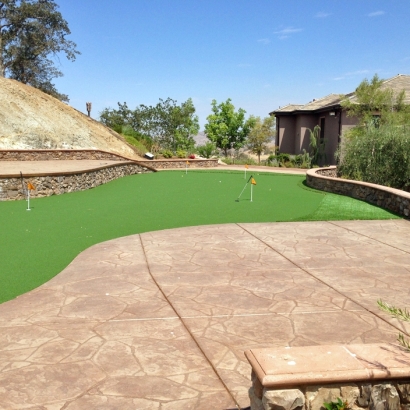 Synthetic Turf Supplier Gallaway, Tennessee Putting Greens, Backyard Landscaping Ideas