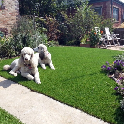 Synthetic Turf Supplier Humboldt, Tennessee Pet Turf, Front Yard Landscape Ideas