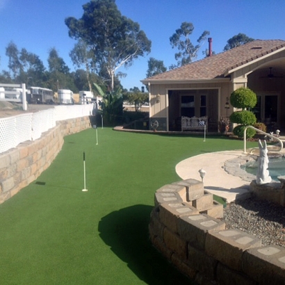 Synthetic Turf Supplier Lobelville, Tennessee Home And Garden, Backyard Makeover