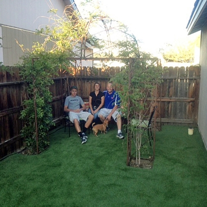 Synthetic Turf Supplier Mount Carmel, Tennessee Backyard Deck Ideas, Backyard Ideas