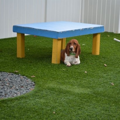 Synthetic Turf Supplier Rockford, Tennessee Pet Turf, Dogs Runs