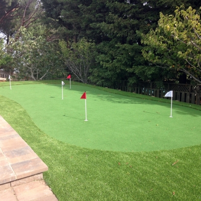 Synthetic Turf Supplier Walnut Hill, Tennessee Office Putting Green, Beautiful Backyards