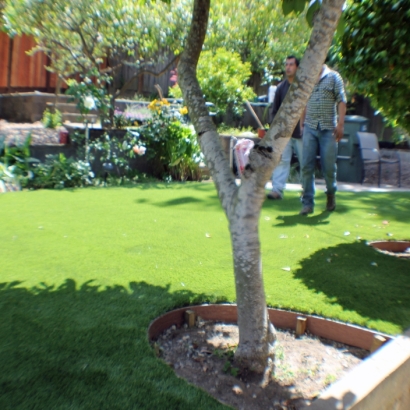 Turf Grass Midtown, Tennessee Lawn And Garden, Backyard Garden Ideas