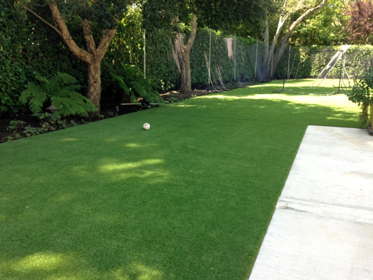Artificial Grass Carpet Central, Tennessee Lawns