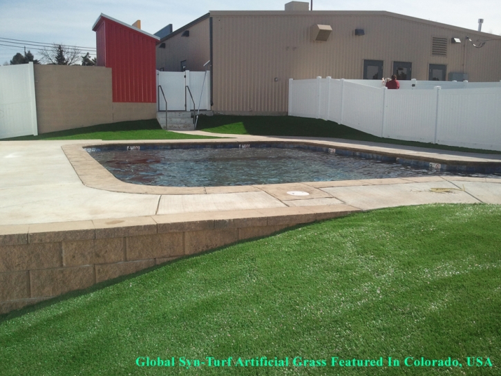 Artificial Grass Carpet Mason, Tennessee Design Ideas, Above Ground Swimming Pool